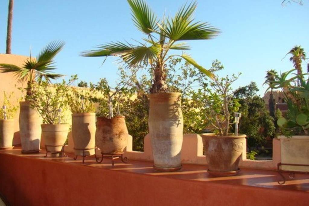 Emplacement N°1 ! Riad Ica Villa Marrakesh Eksteriør billede