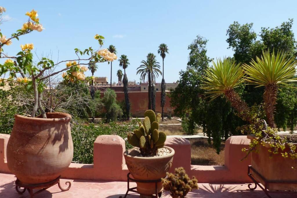 Emplacement N°1 ! Riad Ica Villa Marrakesh Eksteriør billede